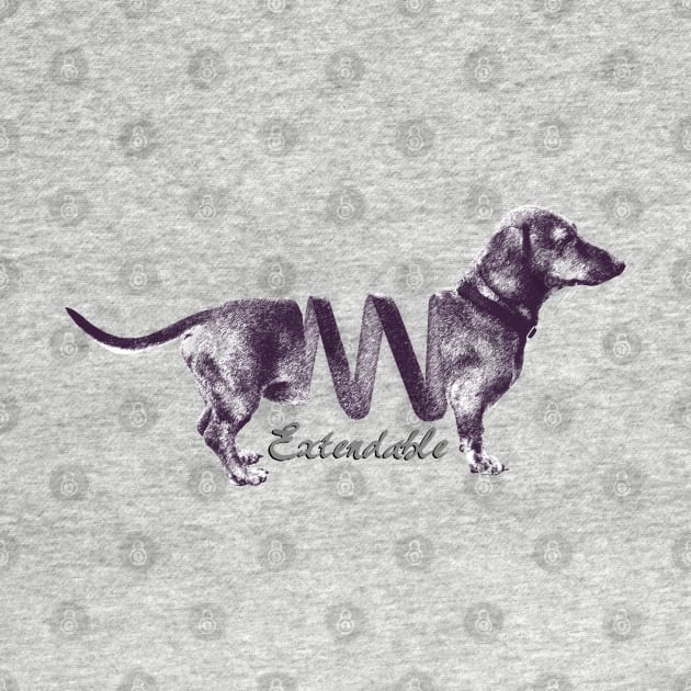 Extendable Dachshund by EDDArt